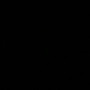 Meet your Posher, Liandro